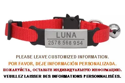 Personalized ID Free Engraving Cat Collar Safety Breakaway Small Dog Cute Nylon Adjustable for Puppy Kittens Necklace